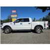Image 15 : DUNCAN - 2006 FORD F-150 WHITE  340697 KMS - B91468