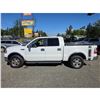 Image 16 : DUNCAN - 2006 FORD F-150 WHITE  340697 KMS - B91468
