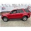 Image 23 : PARKSVILLE - 2010 FORD ESCAPE RED 163988 KMS - D02915
