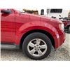 Image 25 : PARKSVILLE - 2010 FORD ESCAPE RED 163988 KMS - D02915