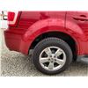 Image 27 : PARKSVILLE - 2010 FORD ESCAPE RED 163988 KMS - D02915