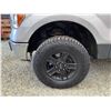 Image 31 : PARKSVILLE - 2012 FORD F-150 GREY 314434 KMS - D54716
