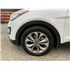 Image 31 : PARKSVILLE - 2014 HYUNDAI SANTA FE SPORT WHITE 226069 KMS - 157983-2