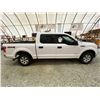 Image 11 : PARKSVILLE - 2016 FORD F-150 WHITE 315359 KMS - D03019-2