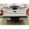 Image 17 : PARKSVILLE - 2016 FORD F-150 WHITE 315359 KMS - D03019-2