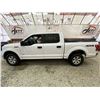 Image 23 : PARKSVILLE - 2016 FORD F-150 WHITE 315359 KMS - D03019-2