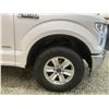 Image 25 : PARKSVILLE - 2016 FORD F-150 WHITE 315359 KMS - D03019-2