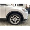 Image 25 : PARKSVILLE - 2013 MAZDA CX-9 WHITE 239700 KMS - 413009-3