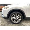 Image 31 : PARKSVILLE - 2013 MAZDA CX-9 WHITE 239700 KMS - 413009-3