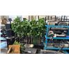 Image 1 : COMMERCIAL WATER DISPENSER COOLER TOWER + FAUX OFFICE PLANTS, WASTE RECEPTACLE & MORE