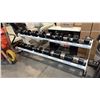 Image 1 : ATLANTIS 90" 2-TIER DUMBBELL RACK WHITE FRAME + 14 UMAX COMMERCIAL DUMBBELLS 35-80 LBS SET