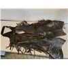 Image 1 : Leather Western-Style Chaps with Fringe