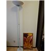 Image 1 : White Floor Lamp and Framed Floral Print
