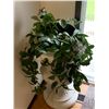 Image 1 : Decorative White Urn Planter with Beautiful Live Plant
