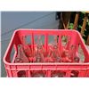 Image 3 : The Pop Shoppe Glass Bottles in Original Red Crates, Set of 24