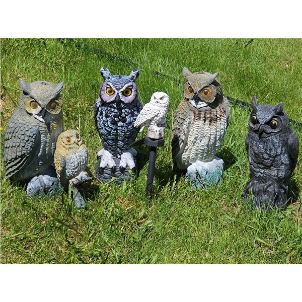 A Real Hoot of a Collection! 6 Painted Outdoor Owl Statues