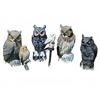 Image 2 : A Real Hoot of a Collection! 6 Painted Outdoor Owl Statues