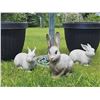 Image 3 : Garden Bird Bath with Two Planters and Three Decorative Bunny Figures