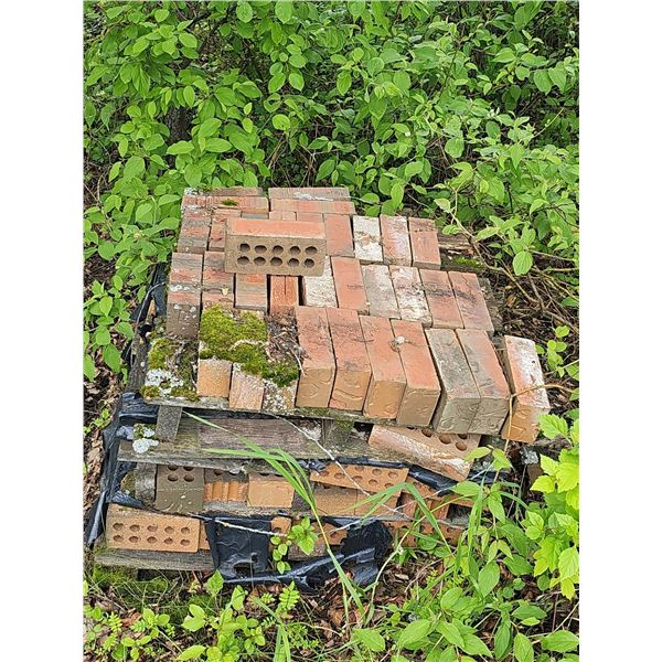 Pallet of Red Clay Hollow Bricks With Moss and Weathering