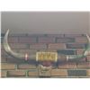 Image 1 : Mounted Steer Horns With Decorative Felt and Rope