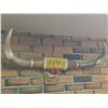 Image 2 : Mounted Steer Horns With Decorative Felt and Rope