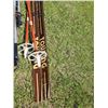 Image 6 : 2 Pairs of Cross-Country Skis – Lampinen & Passavant with Poles