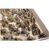 Image 8 : Large selection of what appears to be 15mm Napoleonic Imperial Guard and Waterloo era British soldie