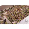 Image 8 : Large selection of what appears to be 15mm War of the Roses miniatures including longbowmen, men wit