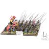 Image 2 : Large selection of what appears to be 15mm figures including Renaissance knights, pike men, various 
