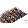 Image 4 : Large selection of what appears to be 15mm Prussian cavalry and Napoleonic infantry. Approximately 1