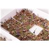 Image 4 : Large selection of what appears to be 15mm Egyptians including archers and pikemen. 41 wooden bases,
