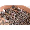 Image 2 : Large selection of what appears to be 15mm American civil war figures including cavalry, infantry, c