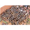 Image 6 : Large selection of what appears to be 15mm American civil war figures including cavalry, infantry, c