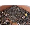 Image 2 : Large selection of what appears to be 15mm Napoleonic armies including 3rd O' Reilly Chevauleger, Bi