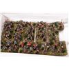 Image 1 : Large selection of what appears to be 15mm Celt army including mounted riders and pikemen etc. 39 ba