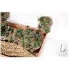 Image 2 : Large selection of tabletop gaming terrain including small forests, rubber rock formations, sandy te