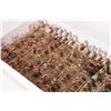 Image 3 : Selection of what appears to be 15mm mixed lot of Aztec warriors, Egyptian archers and primitive war