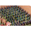 Image 2 : Large selection of what appears to be 15mm Crimean war including Polilsh Kislev winged archers, Prus