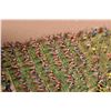 Image 4 : Large selection of what appears to be 15mm Celtic army including chariot riders and horse, pikemen a