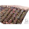 Image 3 : Large selection of what appears to be 15mm Napoleonic Army including mounted cavalry and infantry, e