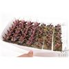Image 1 : Selection of what appears to be 15mm Persian army including 21 bases, each with two or three individ