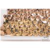 Image 3 : Large selection of what appears to be 15mm Desert storm soliders, each individually and intricately 