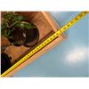 Image 5 : Qty 2 Wooden Planter Boxes w/ Wheels 48" x 19" x 22"H (plants not included)