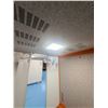 Image 17 : Six-Person Office Meeting Booth 86.6" x 84" x 90.5"H (contents not included)