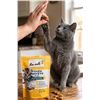 Image 1 : Ten Cats Pillow Pockets Cat Treats Lot
