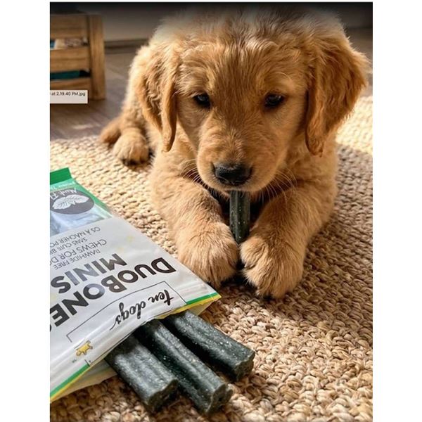 Ten Dogs DuoBones Minis Mint Flavor Chews