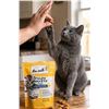 Image 1 : Ten Cats Pillow Pockets Cat Treats 6x85g
