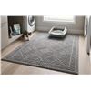 Image 1 : Purple Pet Cat Jumbo Litter Mat