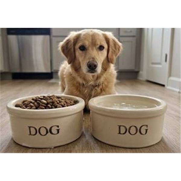 Ohio Stoneware 5" Dog Bowls Set of 2