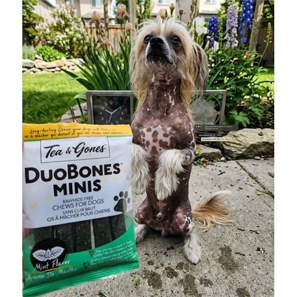 True Dogs DuoBones Minis Mint Chews Lot of 6